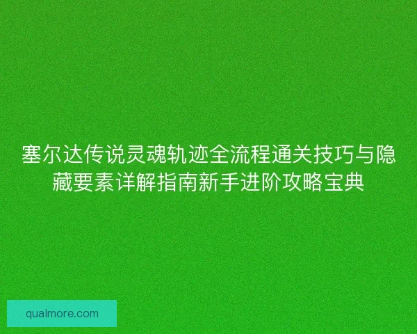 塞尔达传说灵魂轨迹全流程通关技巧与隐藏要素详解指南新手进阶攻略宝典